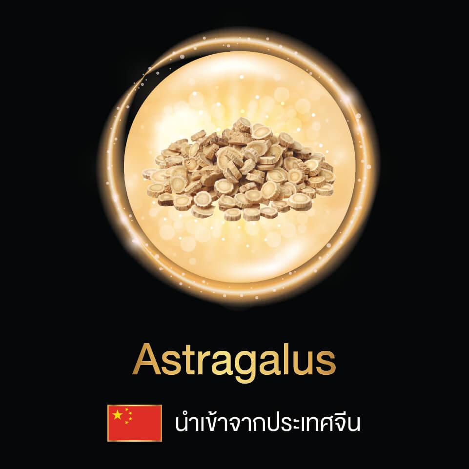 ผลิตภัณฑ์เสริมอาหาร นาเมทีส